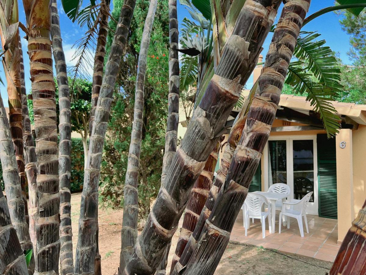 شقة Bungalow Tropical Nº6 - سون  كسورغير المظهر الخارجي الصورة