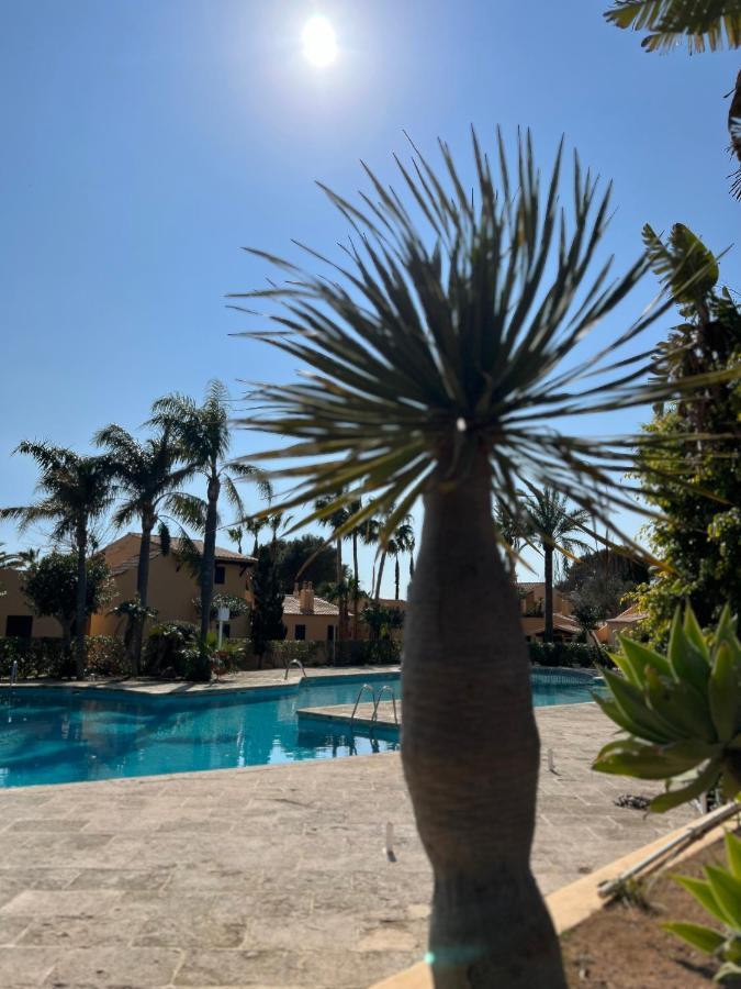 شقة Bungalow Tropical Nº6 - سون  كسورغير المظهر الخارجي الصورة