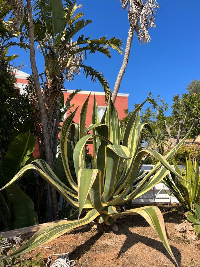 شقة Bungalow Tropical Nº6 - سون  كسورغير المظهر الخارجي الصورة